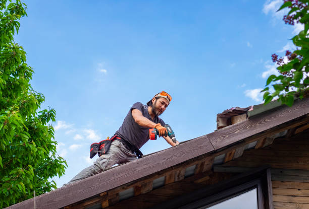 Best Roof Inspection  in Ivanhoe, CA